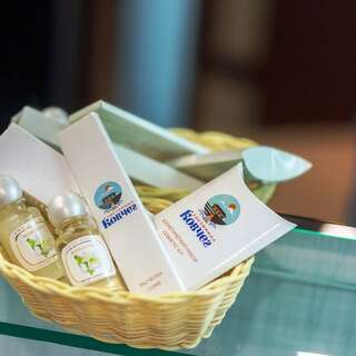 Гостиница Ковчег Сургут Комфорт полулюкс (двуспальная кровать)-2